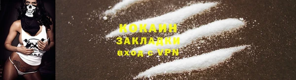 прущие грибы Надым