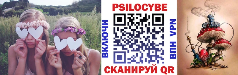 где купить наркотик  Астрахань  Галлюциногенные грибы Psilocybine cubensis 