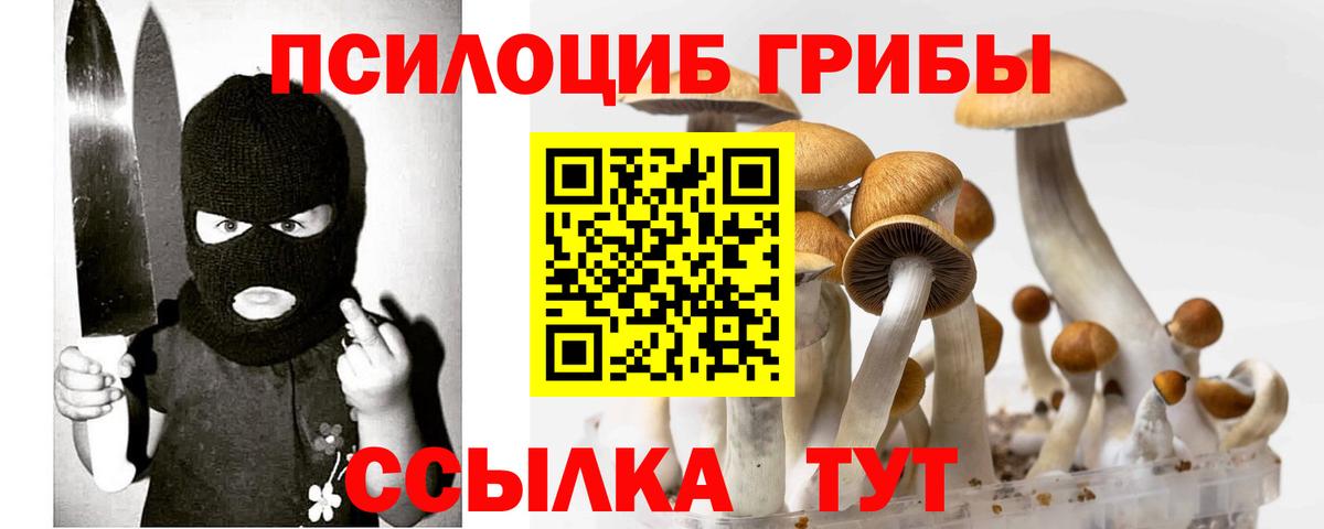 Галлюциногенные грибы Psilocybe  Вход с VPN  Астрахань 