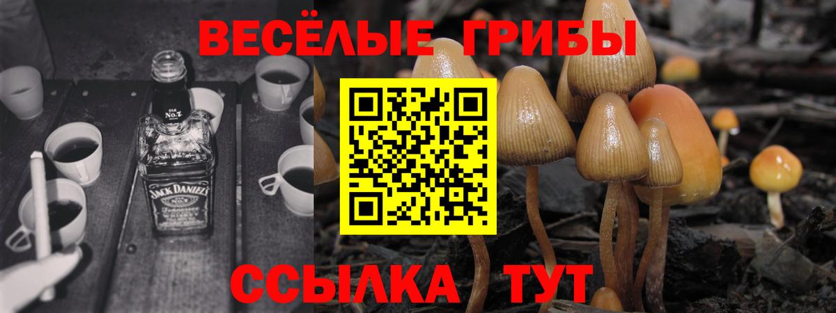 Псилоцибиновые грибы MAGIC MUSHROOMS Астрахань