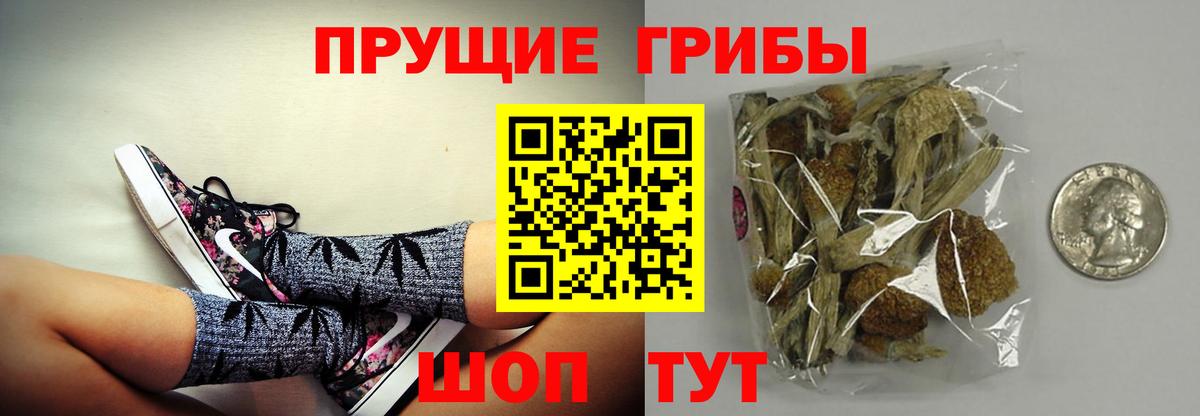 Галлюциногенные грибы Magic Shrooms Астрахань