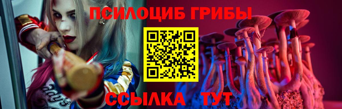 Псилоцибиновые грибы Magic Shrooms  Астрахань  Псилоцибиновые грибы мухоморы 